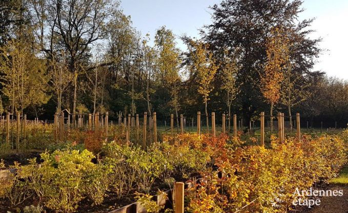 Komfortables Ferienhaus f�r 4 Personen in Florennes, Ardennen