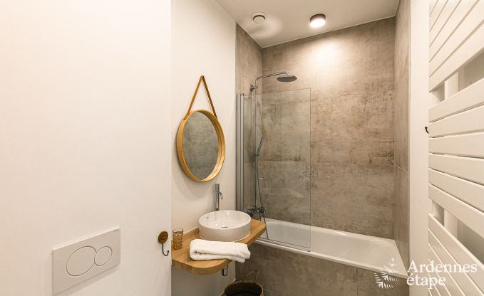 Ferienhaus Florennes 20 Pers. Ardennen Schwimmbad