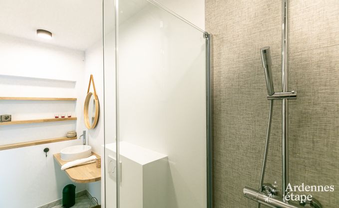 Ferienhaus Florennes 20 Pers. Ardennen Schwimmbad