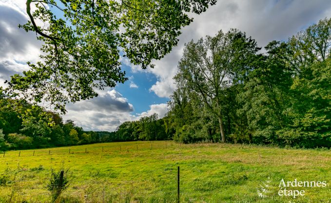 Ferienhaus Florennes 20 Pers. Ardennen Schwimmbad