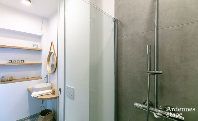 Ferienhaus Florennes 20 Pers. Ardennen Schwimmbad