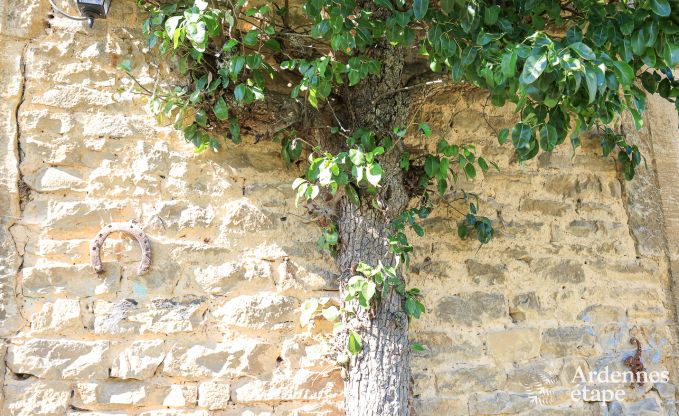 Cottage Florenville 6/7 Pers. Ardennen