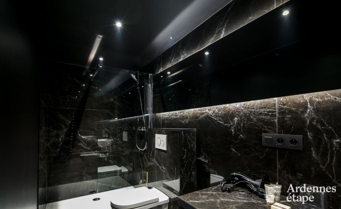 Ferienhaus Florenville 12 Pers. Ardennen