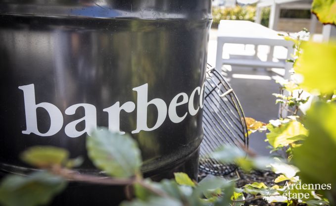 Ferienhaus Florenville 12 Pers. Ardennen