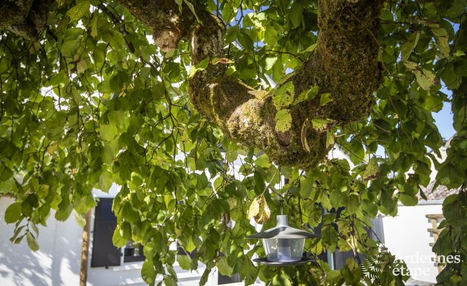 Ferienhaus Florenville 12 Pers. Ardennen