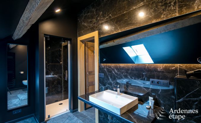 Ferienhaus Florenville 12 Pers. Ardennen