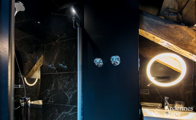 Ferienhaus Florenville 12 Pers. Ardennen