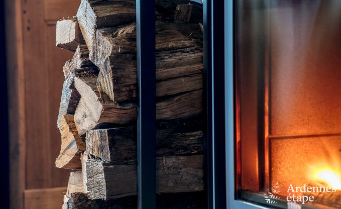 Ferienhaus Florenville 12 Pers. Ardennen