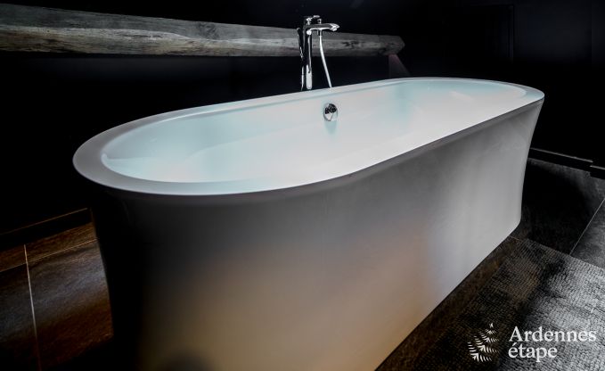 Ferienhaus Florenville 12 Pers. Ardennen