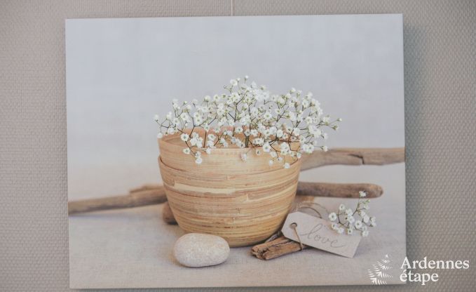 Wohnung Florenville 4 Pers. Ardennen