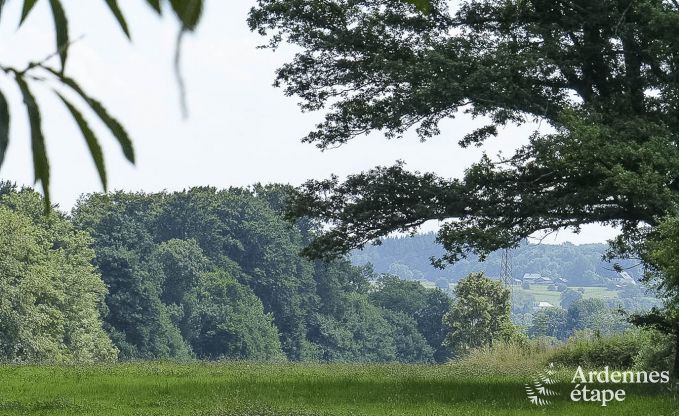 Ferienhaus Florenville 8 Pers. Ardennen
