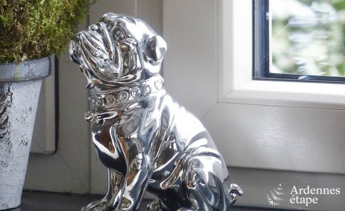 Ferienhaus Florenville 8 Pers. Ardennen