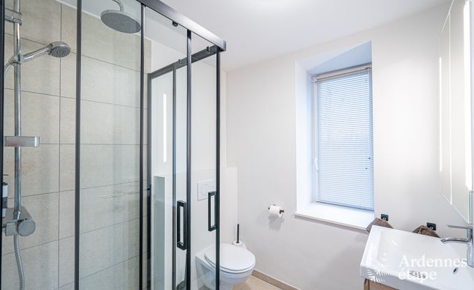 Ferienhaus Florenville 29/31 Pers. Ardennen Wellness