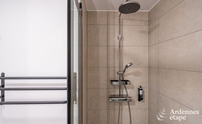 Ferienhaus Florenville 29/31 Pers. Ardennen Wellness