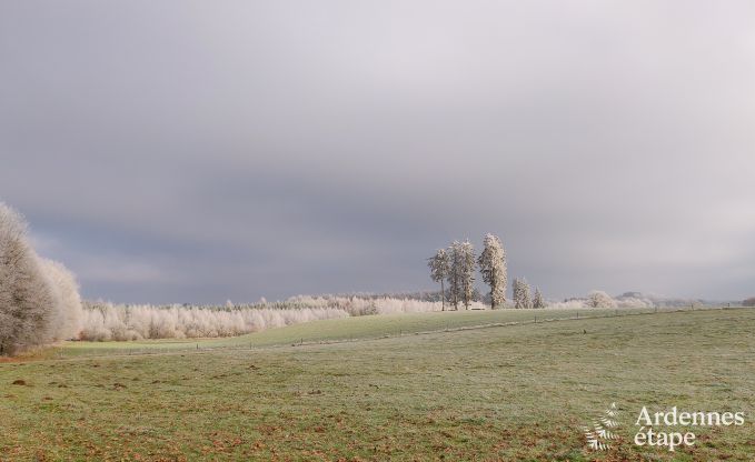 Ferienhaus Florenville 29/31 Pers. Ardennen Wellness