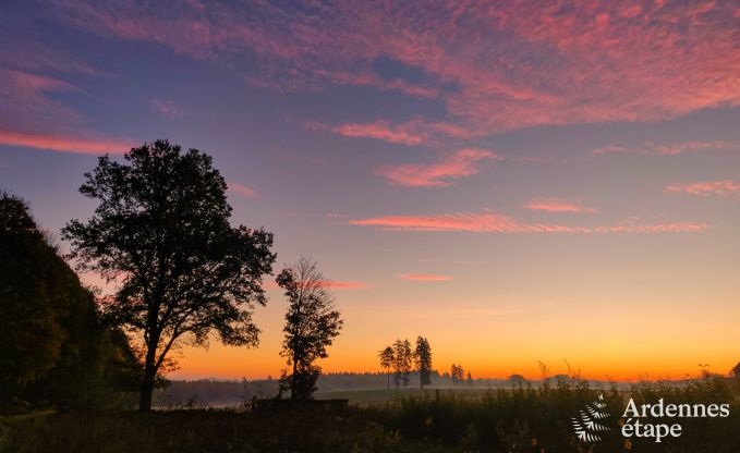 Ferienhaus Florenville 29/31 Pers. Ardennen Wellness