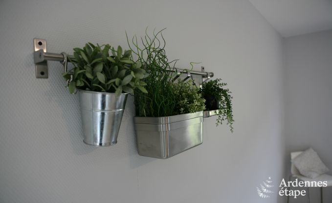 Wohnung Florenville 4 Pers. Ardennen