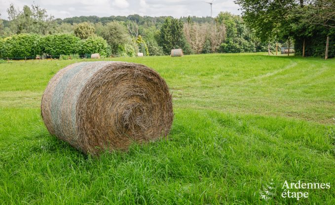 Ferienhaus Fosses-la-Ville 16 Pers. Ardennen Behinderten gerecht