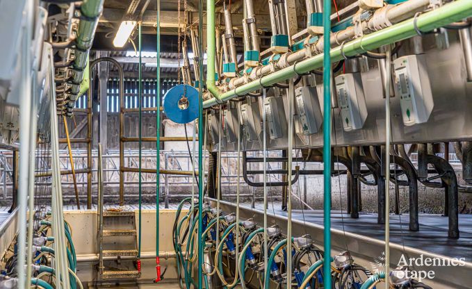 Ferienhaus Fourons 10 Pers. Ardennen