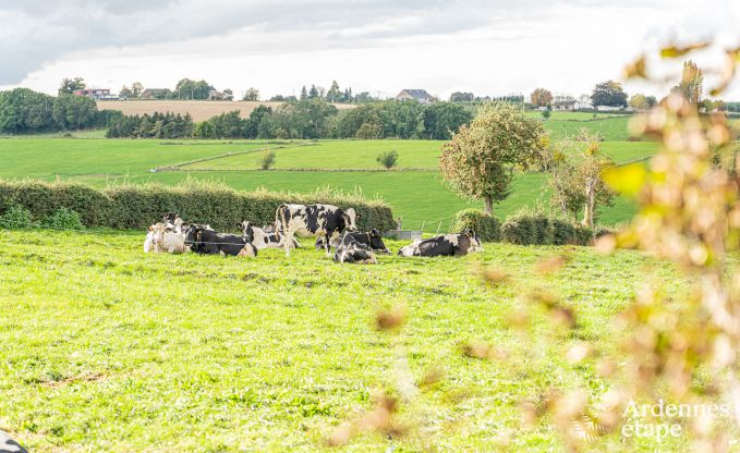 Ferienhaus Fourons 10 Pers. Ardennen