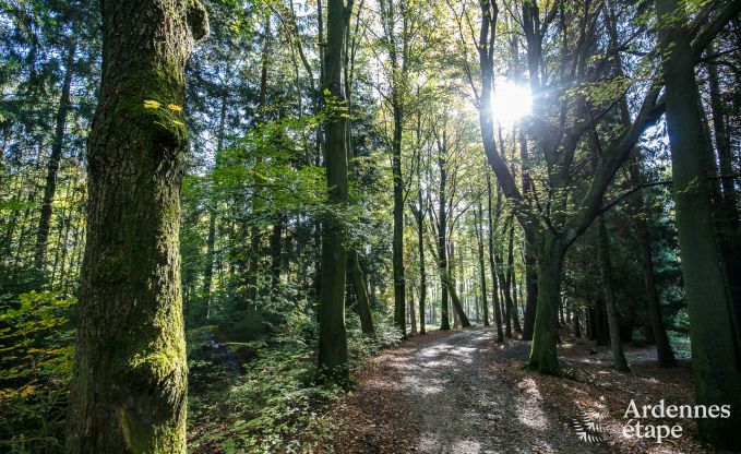 Ferienhaus Francorchamps 37 Pers. Ardennen