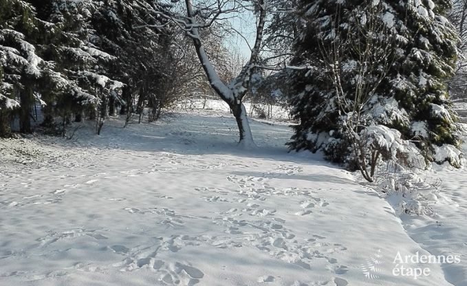 Ferienhaus Francorchamps 5 Pers. Ardennen