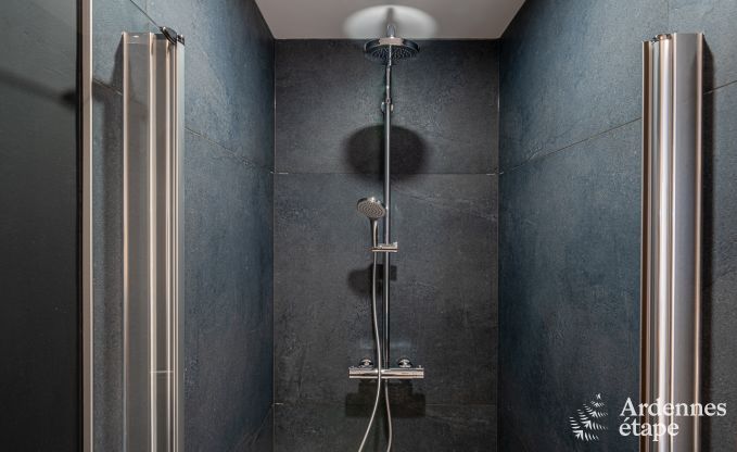 Ferienhaus Francorchamps 4 Pers. Ardennen Wellness