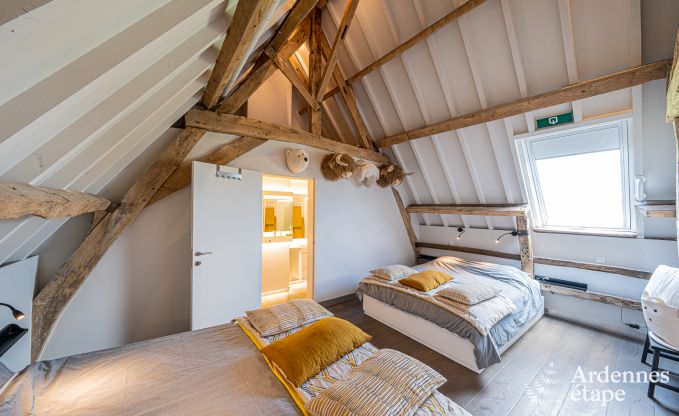 Ferienhaus Frasnes-lez-Anvaing 16/17 Pers. Ardennen Schwimmbad Wellness