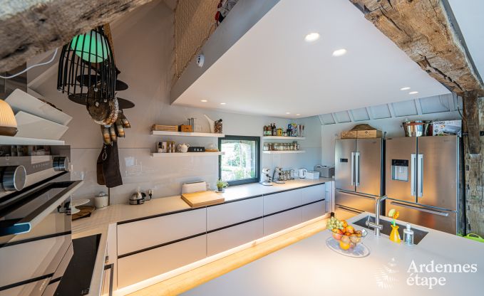 Ferienhaus Frasnes-lez-Anvaing 20/22 Pers. Ardennen Schwimmbad Wellness