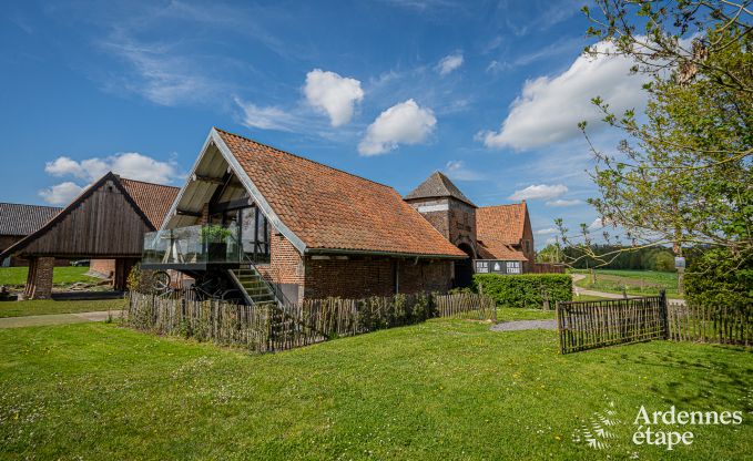 Ferienhaus Frasnes-lez-Anvaing 20/22 Pers. Ardennen Schwimmbad Wellness