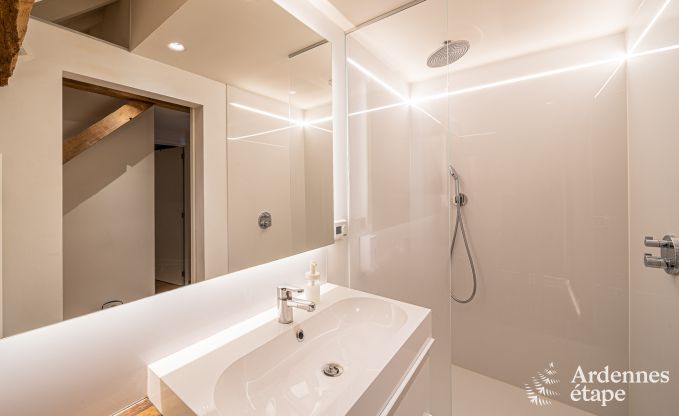 Ferienhaus Frasnes-lez-Anvaing 20/22 Pers. Ardennen Schwimmbad Wellness