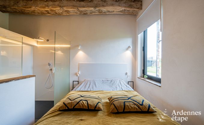 Ferienhaus Frasnes-lez-Anvaing 20/22 Pers. Ardennen Schwimmbad Wellness