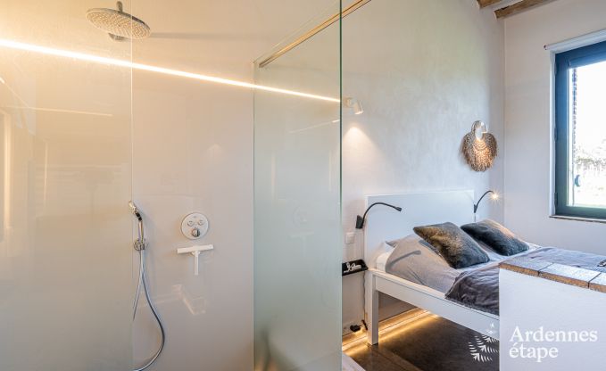 Ferienhaus Frasnes-lez-Anvaing 20/22 Pers. Ardennen Schwimmbad Wellness