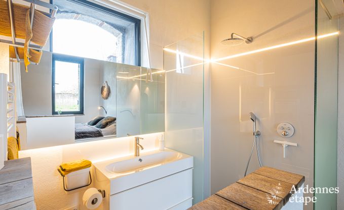 Ferienhaus Frasnes-lez-Anvaing 20/22 Pers. Ardennen Schwimmbad Wellness