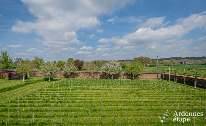 Ferienhaus Frasnes-lez-Anvaing 20/22 Pers. Ardennen Schwimmbad Wellness