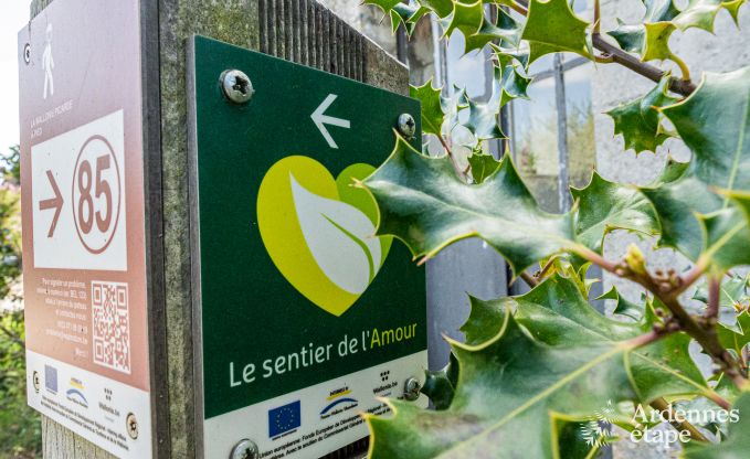 Ferienhaus Frasnes-lez-Anvaing 20/22 Pers. Ardennen Schwimmbad Wellness