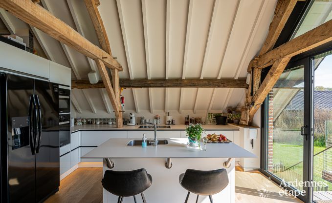 Ferienhaus Frasnes-lez-Anvaing 20/22 Pers. Ardennen Schwimmbad Wellness