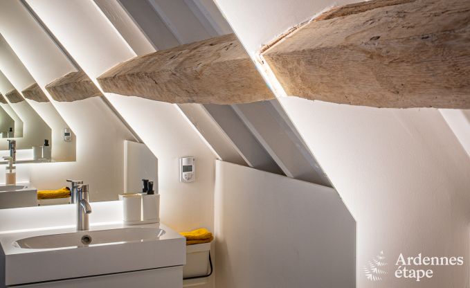 Ferienhaus Frasnes-lez-Anvaing 20/22 Pers. Ardennen Schwimmbad Wellness