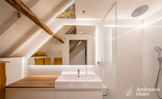 Wohnung Frasnes-lez-Anvaing 4/5 Pers. Ardennen Schwimmbad Wellness