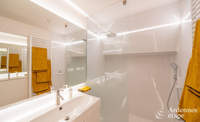 Ferienhaus Frasnes-lez-Anvaing 16/17 Pers. Ardennen Schwimmbad Wellness