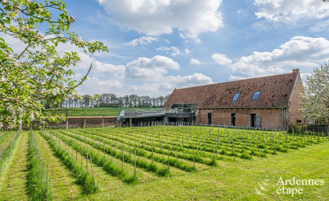 Ferienhaus Frasnes-lez-Anvaing 16/17 Pers. Ardennen Schwimmbad Wellness