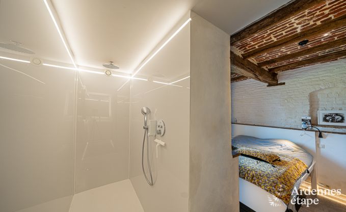 Ferienhaus Frasnes-lez-Anvaing 20/22 Pers. Ardennen Schwimmbad Wellness