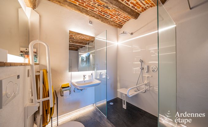 Ferienhaus Frasnes-lez-Anvaing 20/22 Pers. Ardennen Schwimmbad Wellness