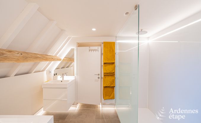 Ferienhaus Frasnes-lez-Anvaing 20/22 Pers. Ardennen Schwimmbad Wellness