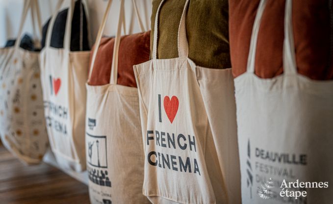 Ferienhaus Frasnes-lez-Anvaing 20/22 Pers. Ardennen Schwimmbad Wellness