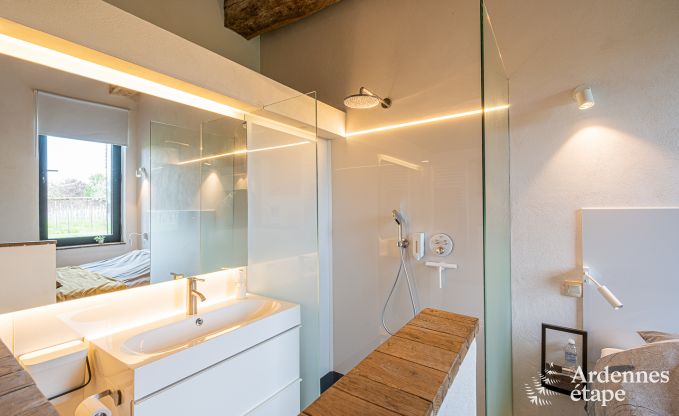 Ferienhaus Frasnes-lez-Anvaing 20/22 Pers. Ardennen Schwimmbad Wellness