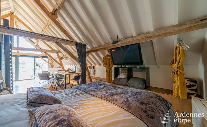 Ferienhaus Frasnes-lez-Anvaing 20/22 Pers. Ardennen Schwimmbad Wellness