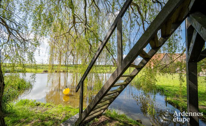Ferienhaus Frasnes-lez-Anvaing 20/22 Pers. Ardennen Schwimmbad Wellness