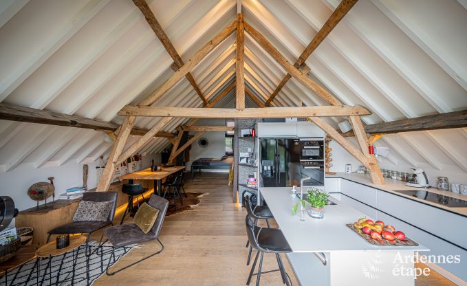 Ferienhaus Frasnes-lez-Anvaing 20/22 Pers. Ardennen Schwimmbad Wellness