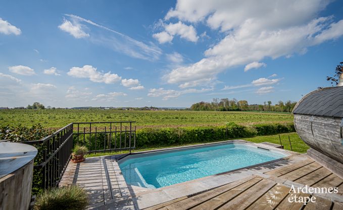 Wohnung Frasnes-lez-Anvaing 4/5 Pers. Ardennen Schwimmbad Wellness